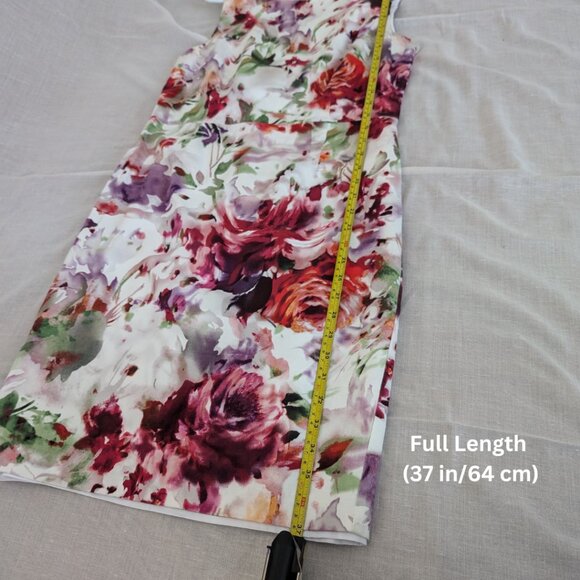 MELANIE LYNE Floral Dress Round Neck Knee Length Zip Up With Belt Women's Size 6 - Picture 14 of 16